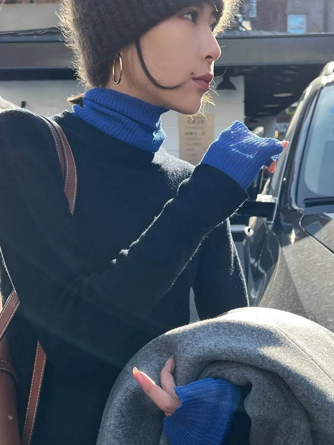 Bicolor Turtleneck Knit HL4152