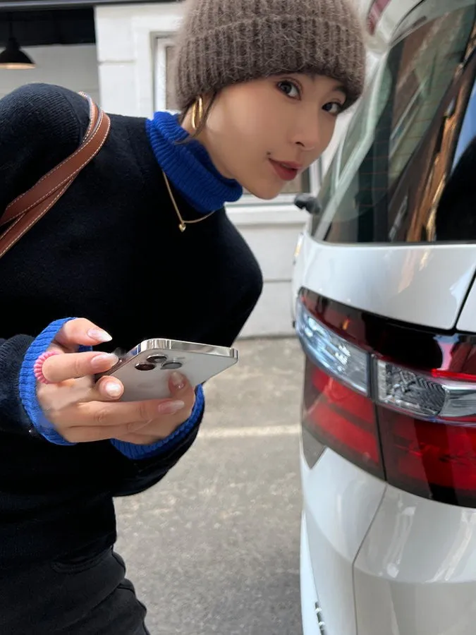 Bicolor Turtleneck Knit HL4152