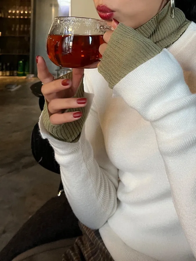 Bicolor Turtleneck Knit HL4152