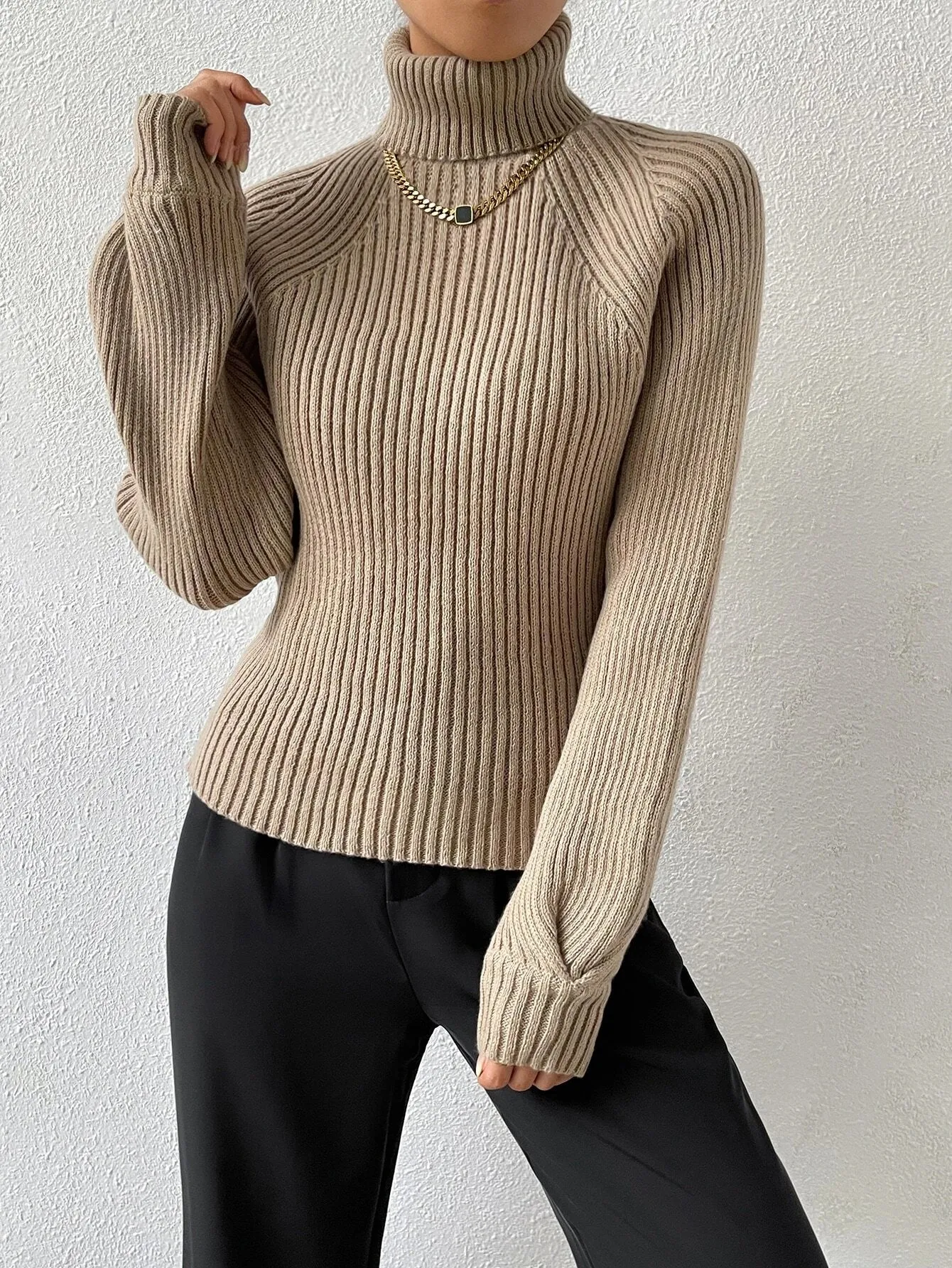 Shein Turtleneck Raglan Sleeve Ribbed Knit Sweater
