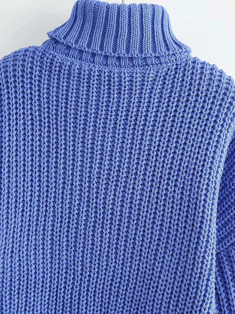 Thick Needle Twist Turtleneck Sweater